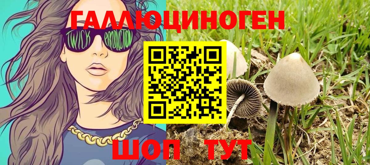Орск  Псилоцибиновые грибы ЛСД  Псилоцибиновые грибы мухоморы  Вход с VPN 